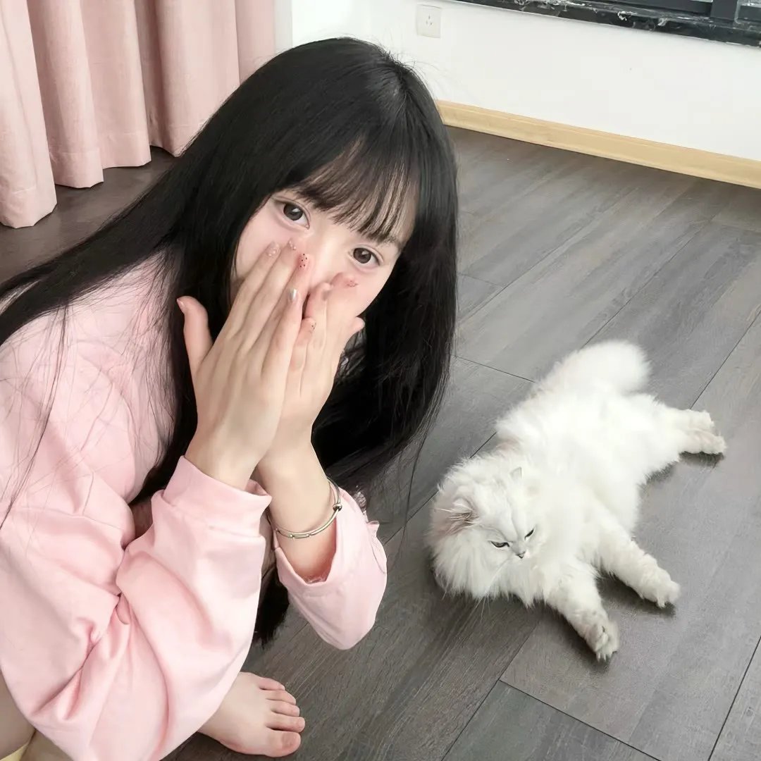 森林