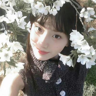 鹰王